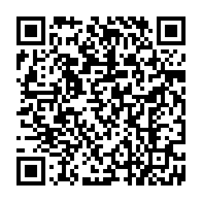 Fake Sonic Vote Rewards website QR code