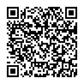 SoupDealer malware loader QR code