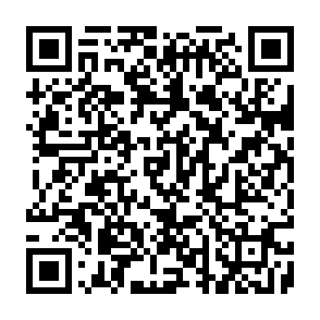Spam Test phishing email QR code