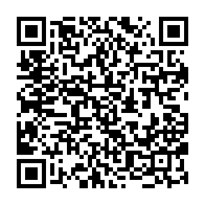 Ads by spanchainbase.com QR code