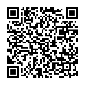Ads by spanchainio.com QR code