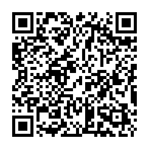 Fake Spark Voting Rewards QR code