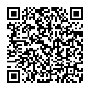 Fake Stable Airdrop QR code