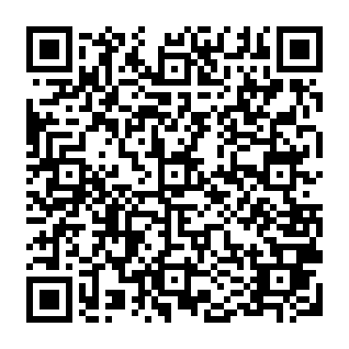 Fake Stacks sBTC Rewards Program site QR code