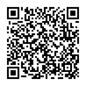 Ads by stashalinamme.com QR code
