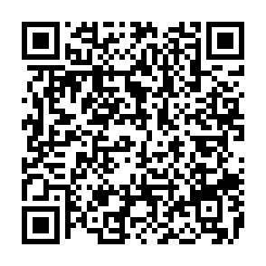Stealc_v2 malware QR code
