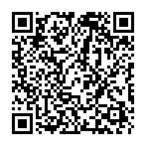 Ads by stealthwallguard.com QR code