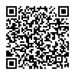 Ads by subingracel.co.in QR code