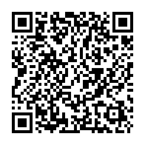 Succinct Rewards crypto drainer QR code
