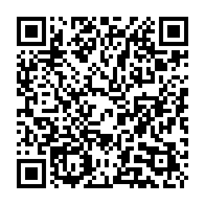 SUCKS 2 SUCK virus QR code