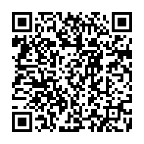 Surplus Profit phishing scam QR code