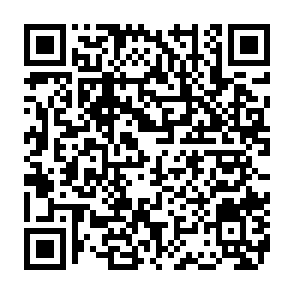 SynkLoader virus QR code