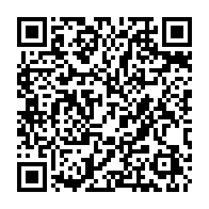 Fake Tectum giveaway QR code