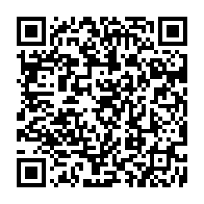 Fake Telcoin ($TEL) Rewards platform QR code