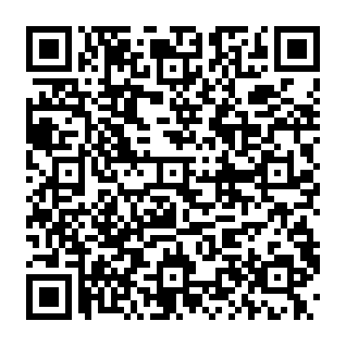 Temporary System Issue phishing scam QR code
