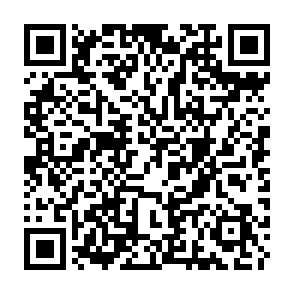 TerraLogger keylogger QR code