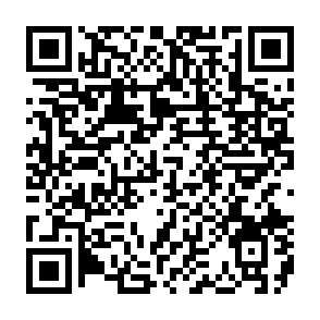 TerraStealerV2 virus QR code