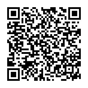 Fake TOBY ($TBY) giveaway QR code