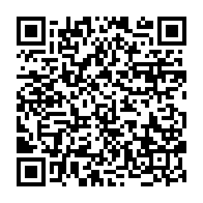 Ads by torixnero.co.in QR code