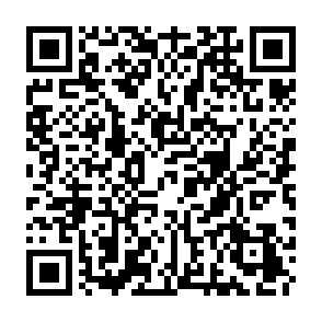 Ads by torringla.com QR code