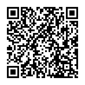 $TOSHI Airdrop crypto drainer QR code