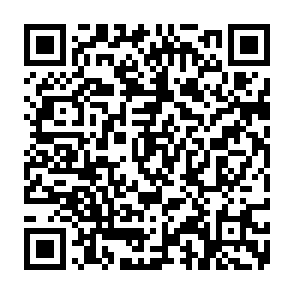 TransferLoader malware loader QR code