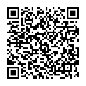 Ads by trevixluna.com QR code