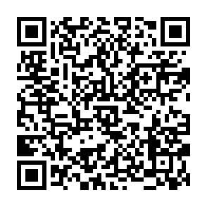 Trezor Security Update scam website QR code