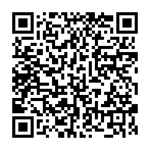 TRILLIONS Vote Reward crypto drainer QR code
