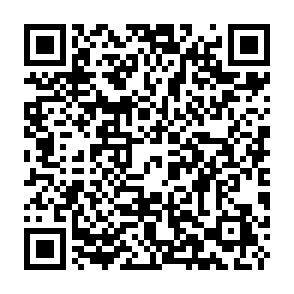 Troll Coin Airdrop crypto drainer QR code