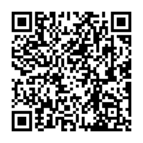 $TURBO Airdrop crypto drainer QR code