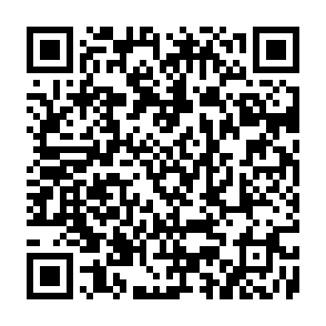 Turtle Vote Rewards crypto drainer QR code