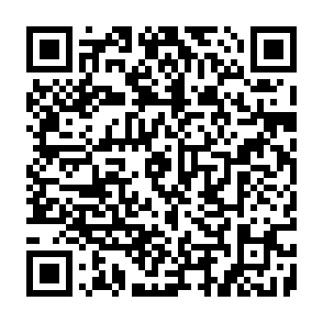 Ads by undiclatoidae.com QR code