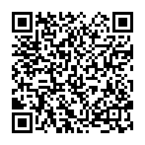 Usual Rewards crypto drainer QR code