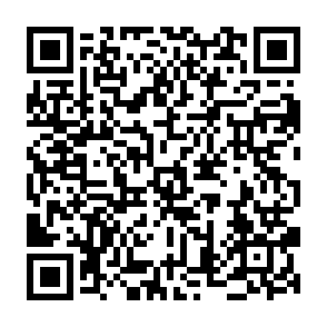 Fake Vanguard ($VWA) Airdrop QR code