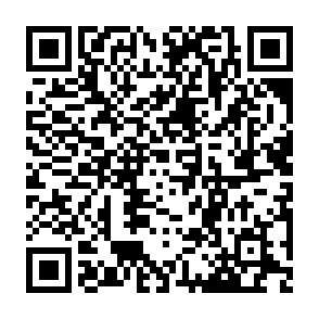 Vidar 2.0 stealer QR code