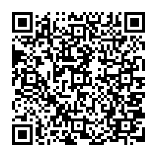 View Remittance Details phishing email QR code