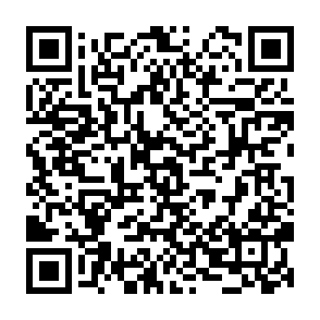 Vitya virus QR code