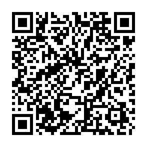 VoidStealer information stealer QR code