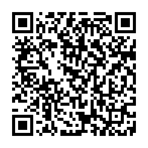 Fake Volt (XVM) voting platform QR code