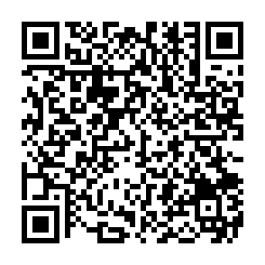 Ads by waddlesestant.com QR code