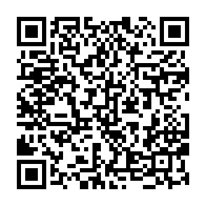 Ads by wakeezingnigs.com QR code