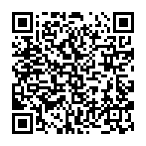 WannaChaos666 virus QR code