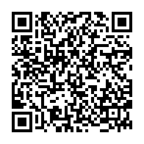 Fake War On USD (WAR) Rewards website QR code