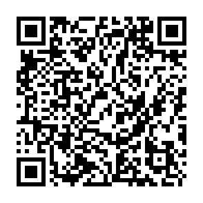Fake $WLFI Airdrop QR code