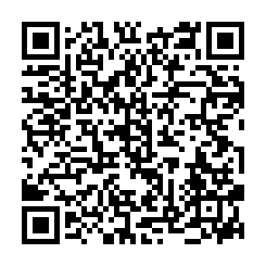 Fake X Layer Vote Rewards platform QR code