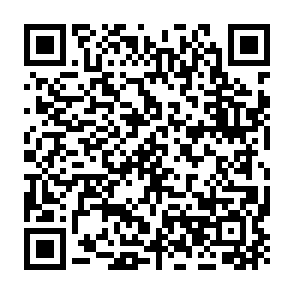 xAI Token Launch scam website QR code