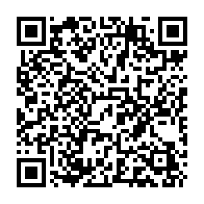 Xmas Cult (XMAS) Airdrop crypto drainer QR code