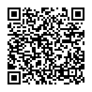 Yala NFT Giveaway crypto drainer QR code