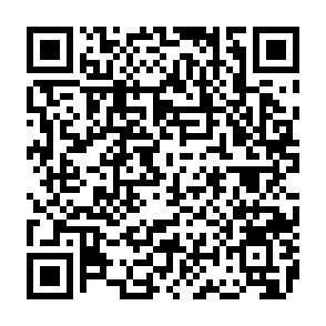 Zarok virus QR code